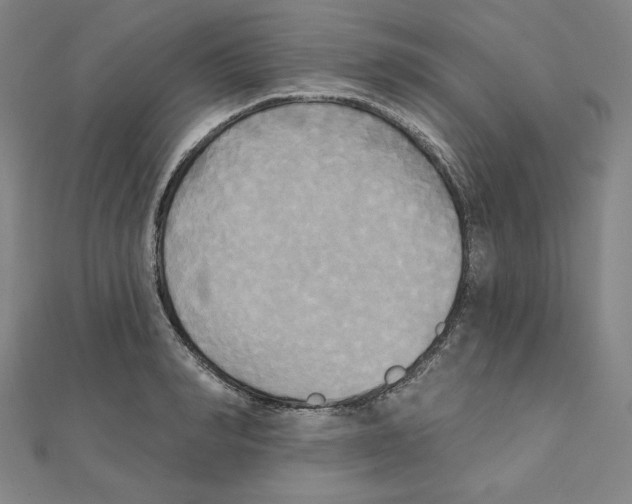 X0000111480990200908111157