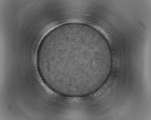 X0000111480991200908111157