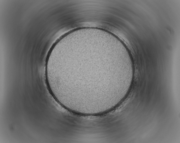 X0000111480992200908111157