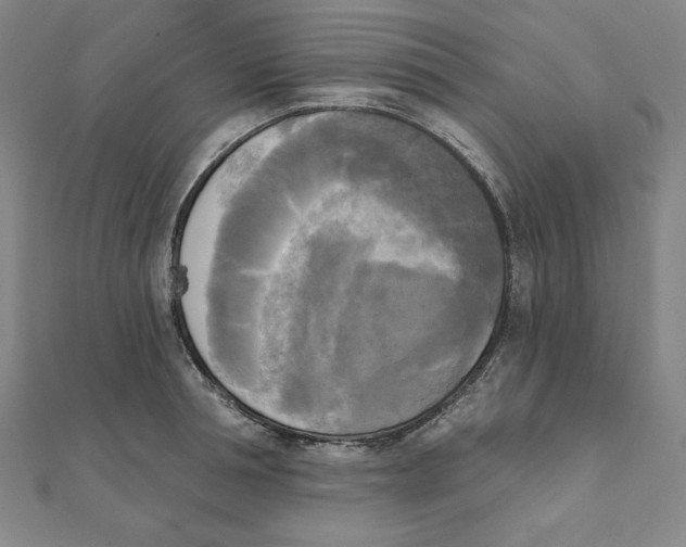 X0000111480994200908111157