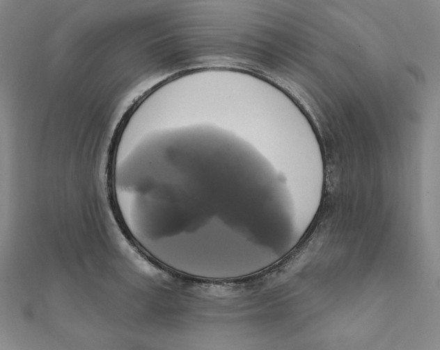 X0000111480995200908111157