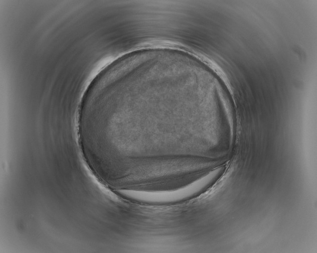 X0000111480997200908111157