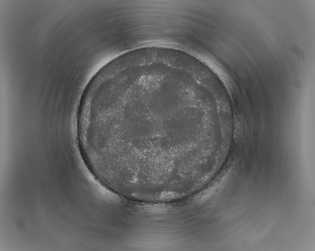 X0000111480999200908111157
