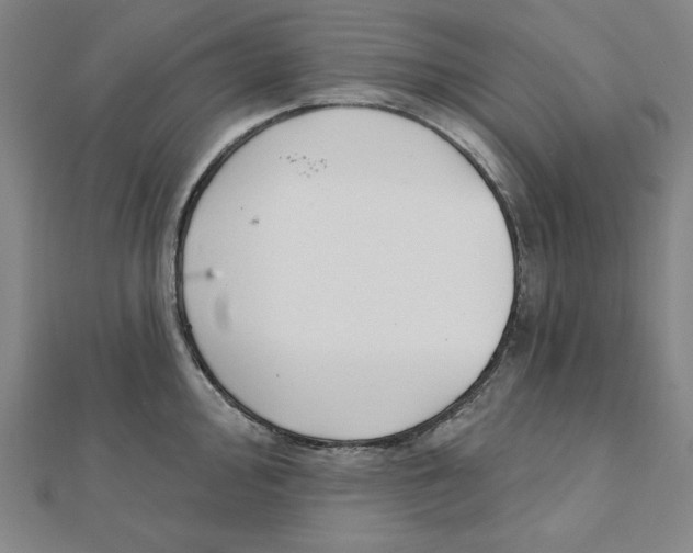 X0000111481000200908111157