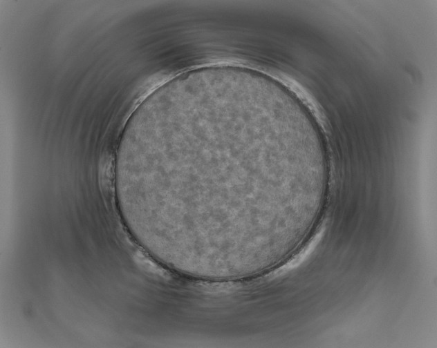 X0000111481001200908111157