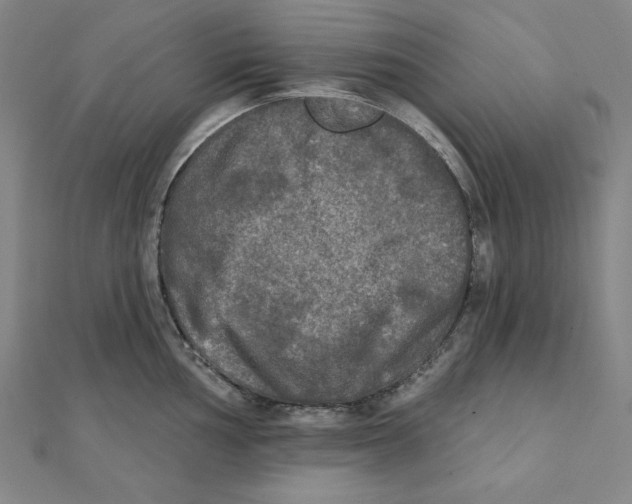 X0000111481002200908111157