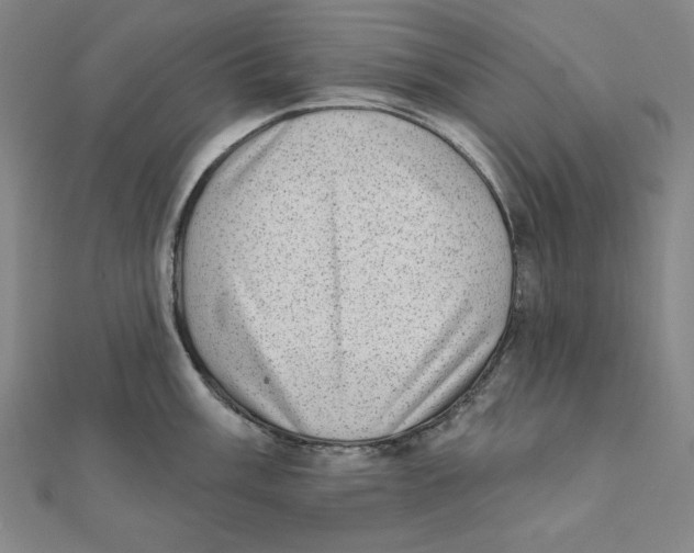 X0000111481003200908111157
