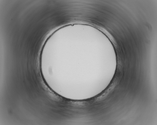 X0000111481004200908111157