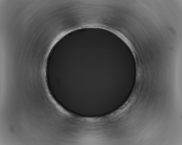 X0000111481005200908111157