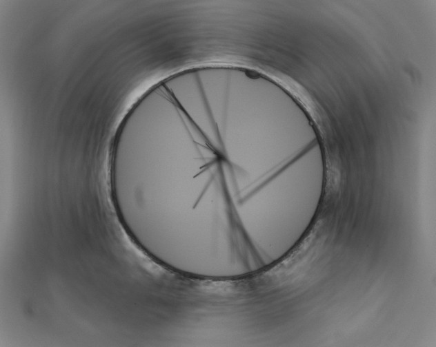 X0000111481006200908111157