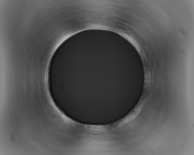 X0000111481007200908111157