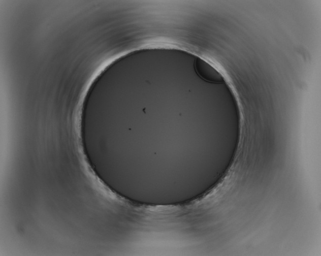 X0000111481008200908111157
