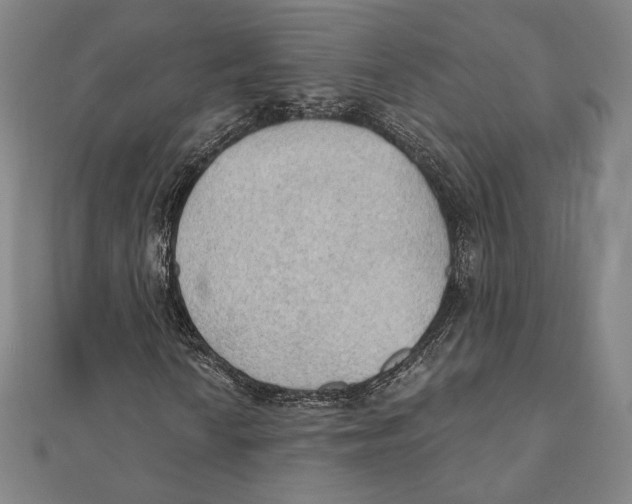 X0000111481010200908111156