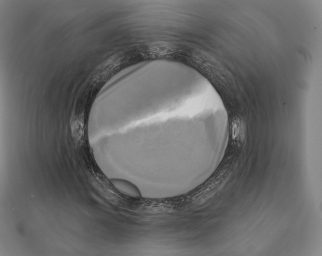 X0000111481011200908111156
