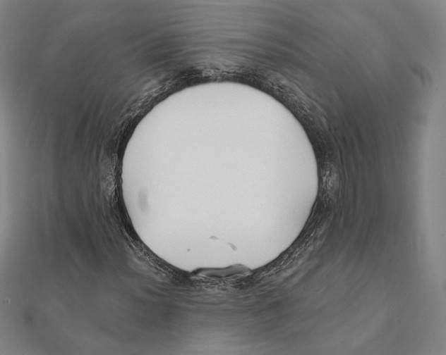 X0000111481012200908111156