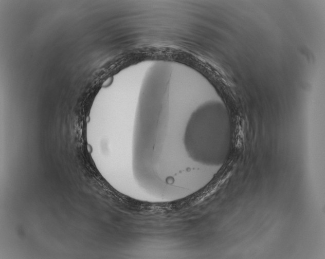 X0000111481013200908111156