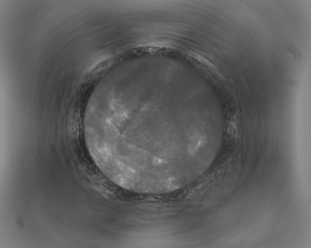 X0000111481014200908111156