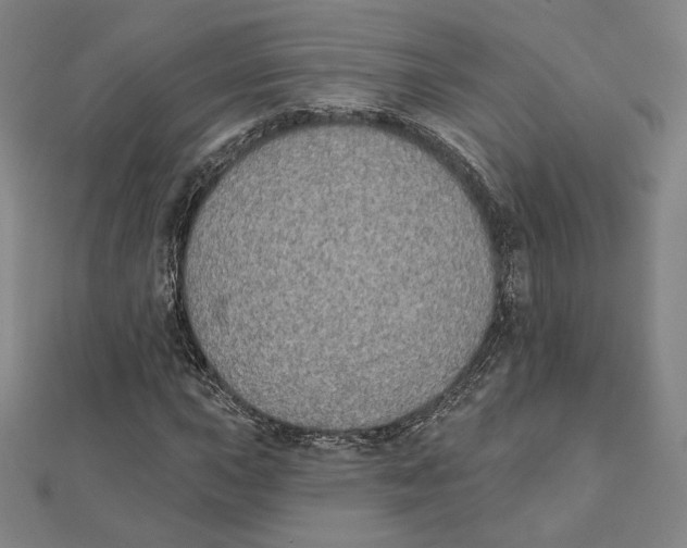 X0000111481015200908111156