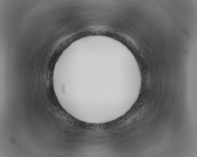 X0000111481016200908111156