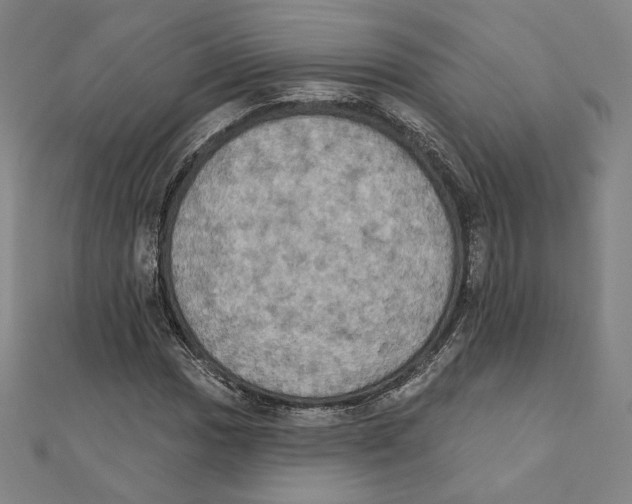 X0000111481017200908111156