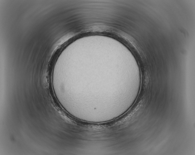 X0000111481018200908111156