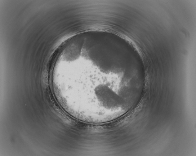 X0000111481019200908111156