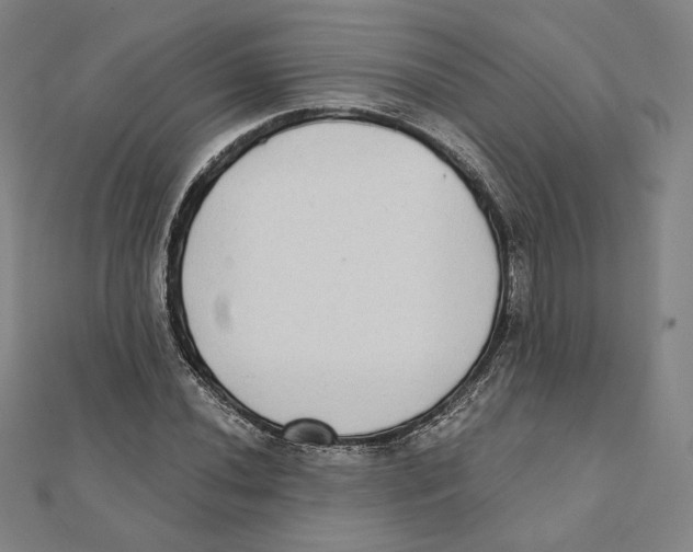 X0000111481020200908111156