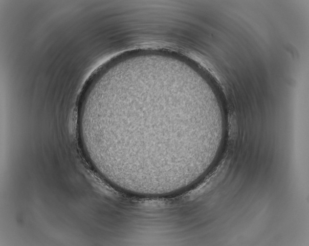 X0000111481021200908111156