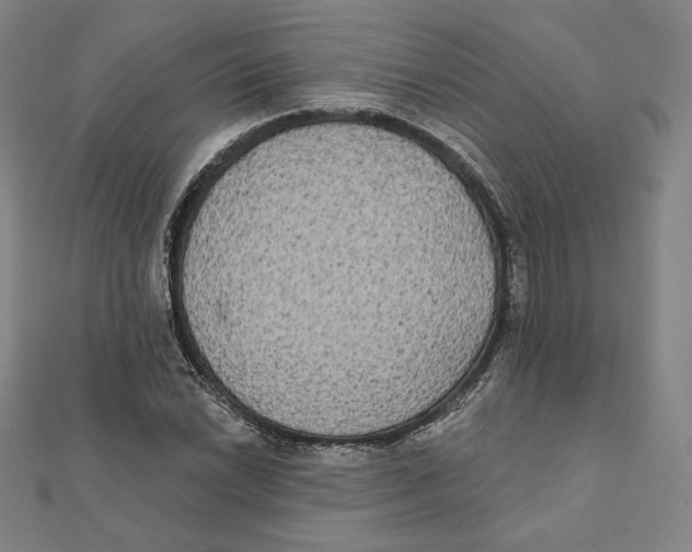 X0000111481022200908111156