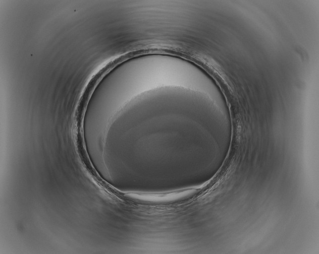 X0000111481024200908111156
