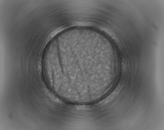 X0000111481025200908111156