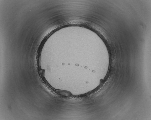 X0000111481026200908111156