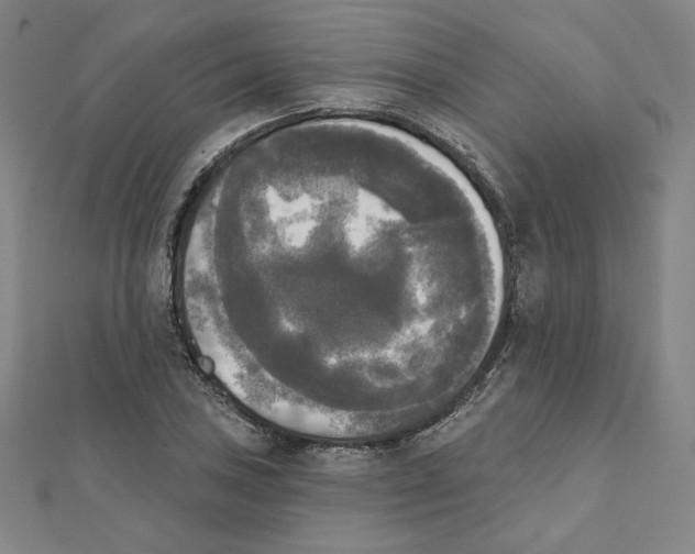 X0000111481027200908111156