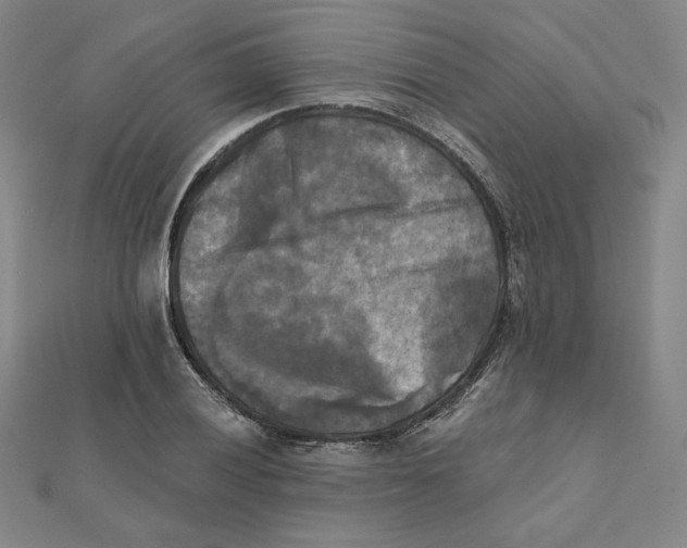 X0000111481028200908111156