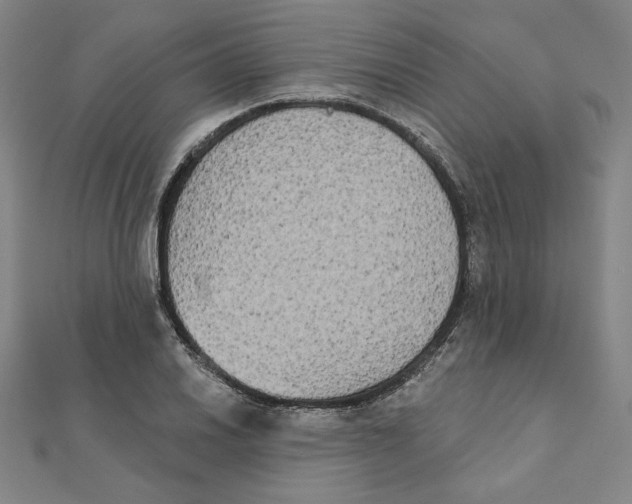 X0000111481030200908111156