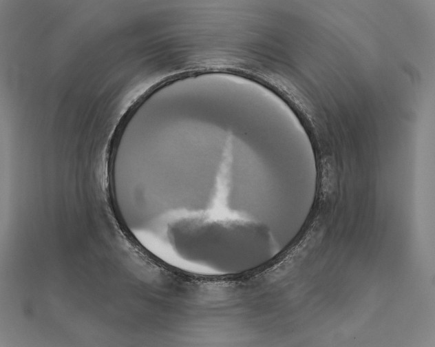X0000111481031200908111156