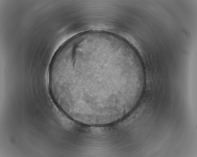 X0000111481032200908111156