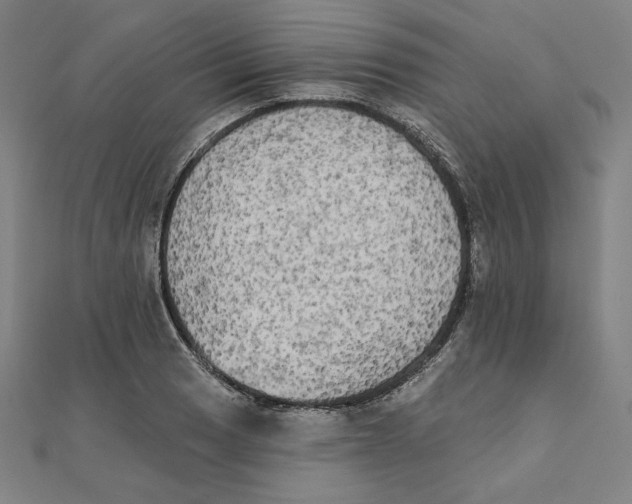X0000111481033200908111156