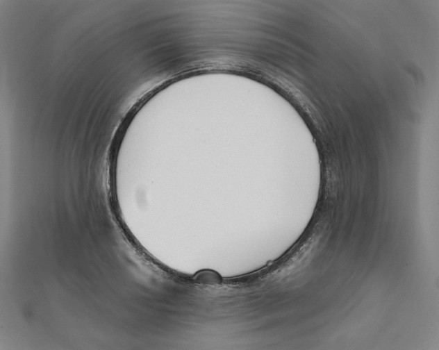 X0000111481034200908111156