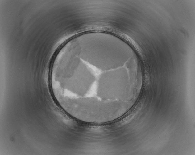 X0000111481035200908111156