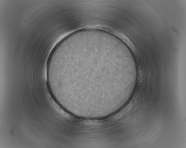X0000111481036200908111156