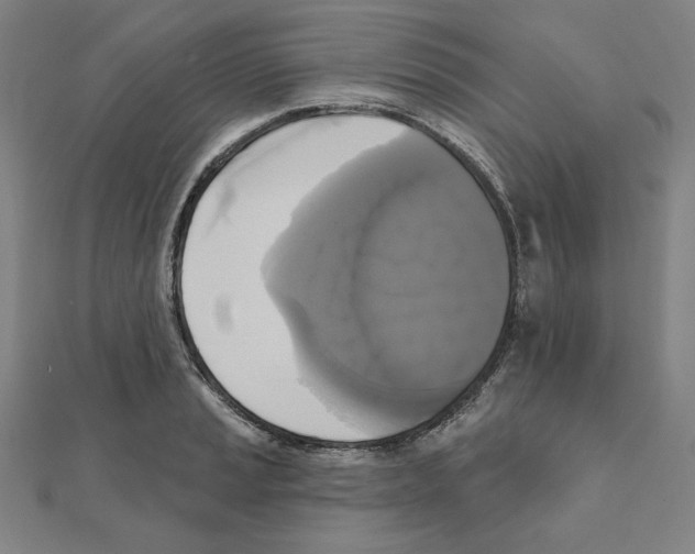 X0000111481037200908111156