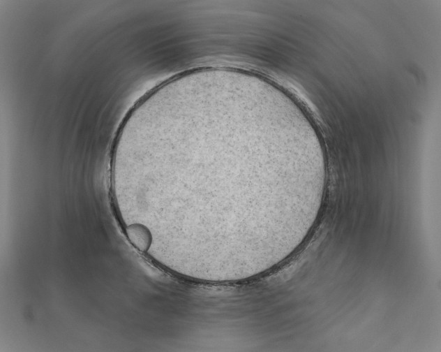 X0000111481040200908111156