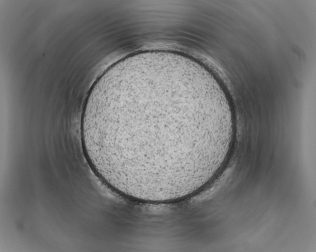 X0000111481041200908111156