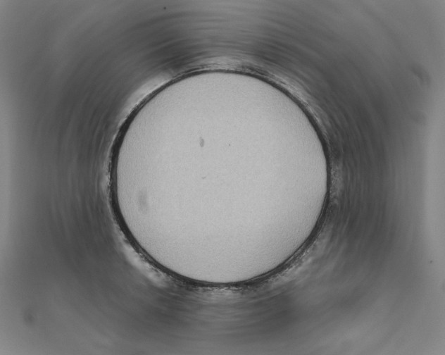 X0000111481042200908111156