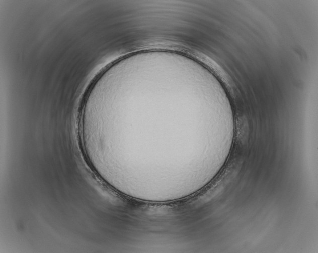 X0000111481043200908111156