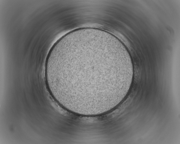 X0000111481044200908111156