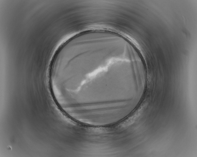X0000111481045200908111157
