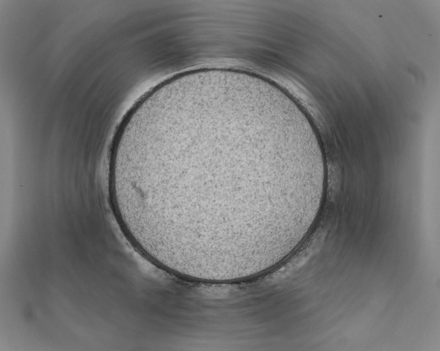 X0000111481046200908111157