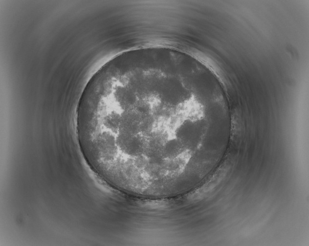 X0000111481047200908111157